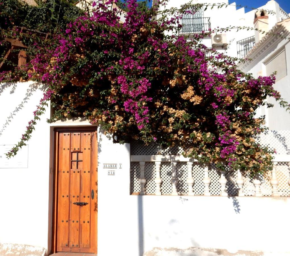 Beach Villa ,Nerja, Seaview, Pool, 3 Bedrooms, Huge Terrace And Garden Esterno foto